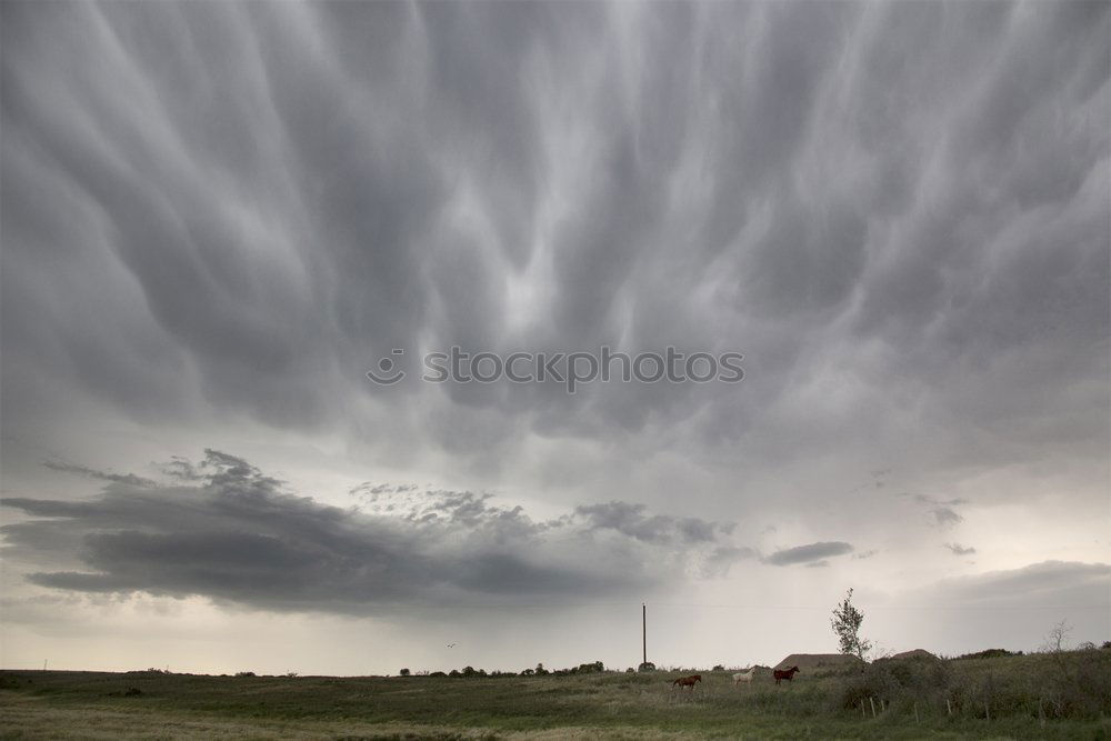 Similar – THUNDERSTRUCK Umwelt Natur