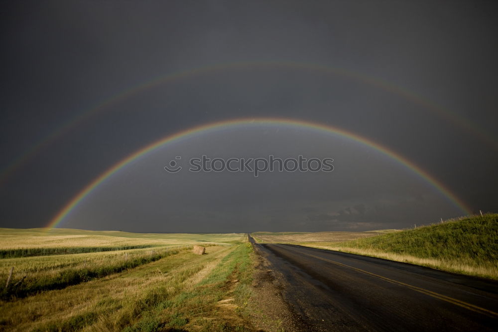 Similar – Rainbow with sheep on the Isle of Skye in Scotland