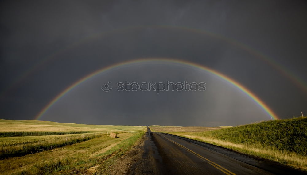 Similar – Rainbow with sheep on the Isle of Skye in Scotland