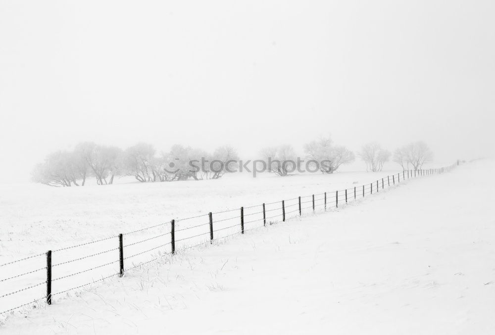 Image, Stock Photo Winter Impression_III Cold