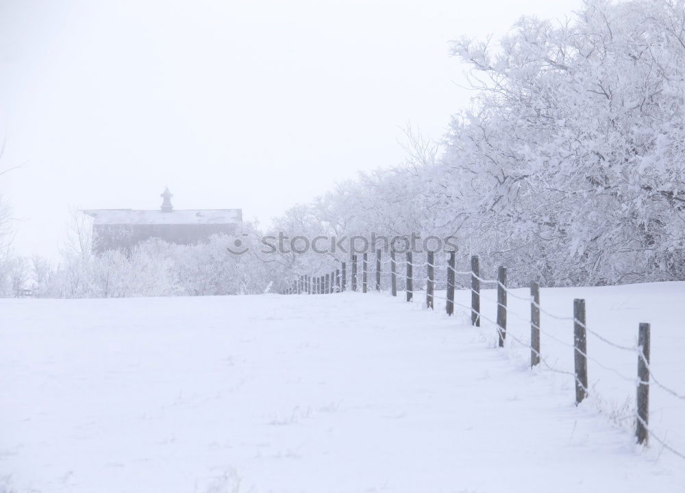 Similar – Snowy rural road at winter