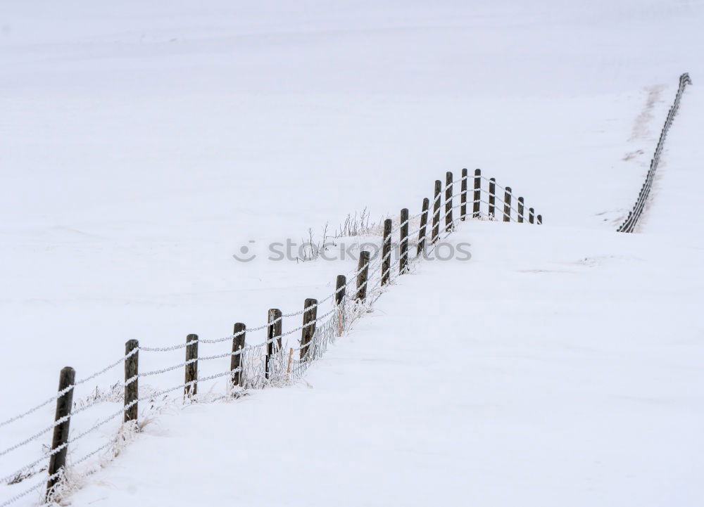 Similar – Image, Stock Photo icy childhood Landscape