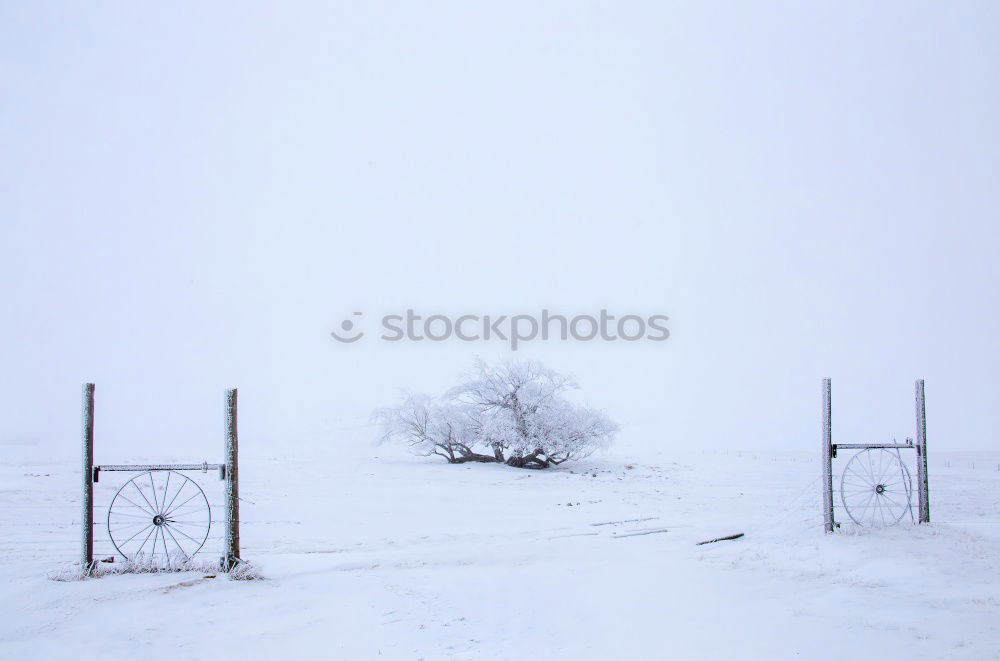 Similar – Image, Stock Photo lunch break Arrangement