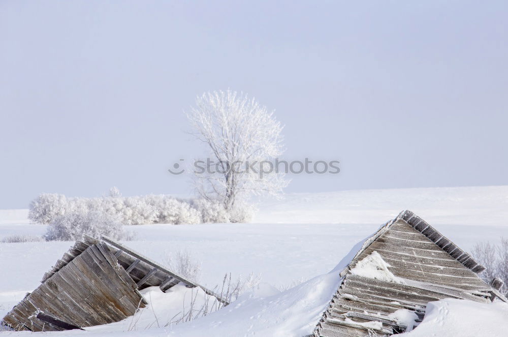 Similar – paletten im winter Winter