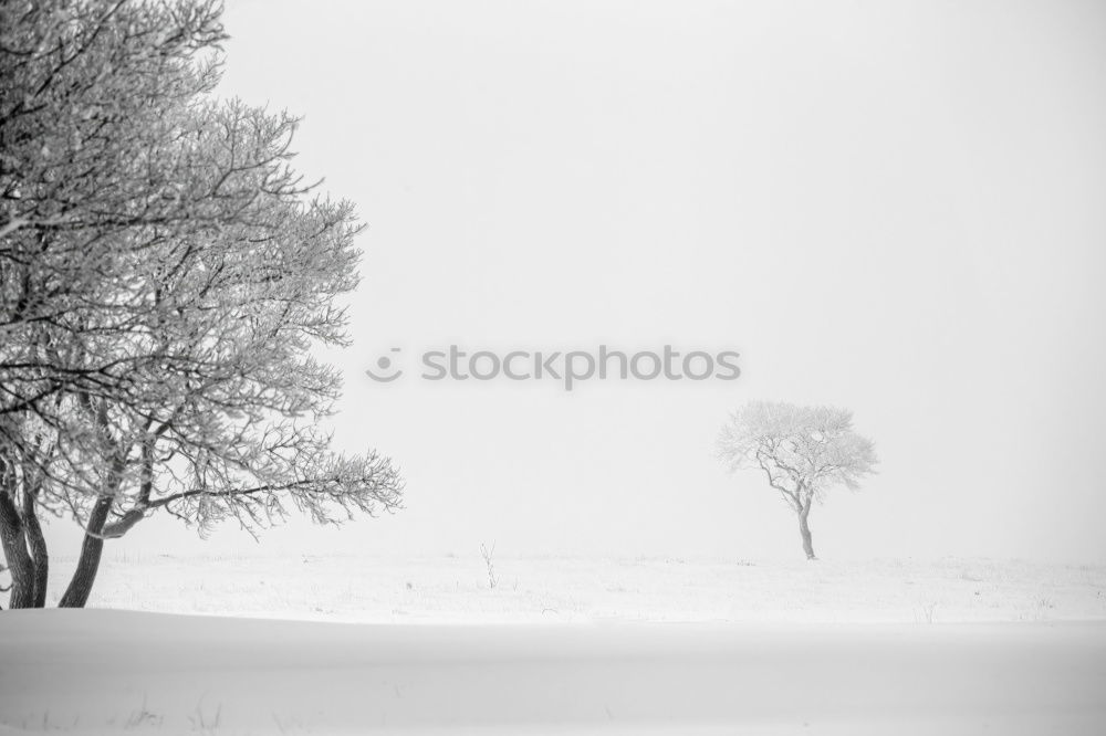 Similar – Image, Stock Photo Winter Impression_III Cold