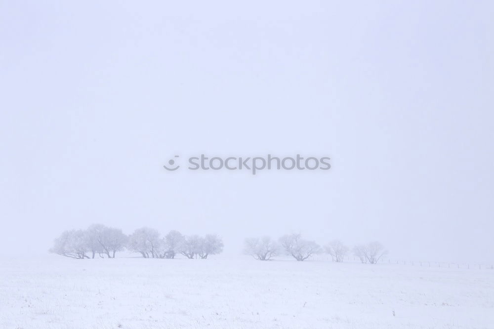 Similar – Foto Bild Eisweinberg Weinberg Ruine