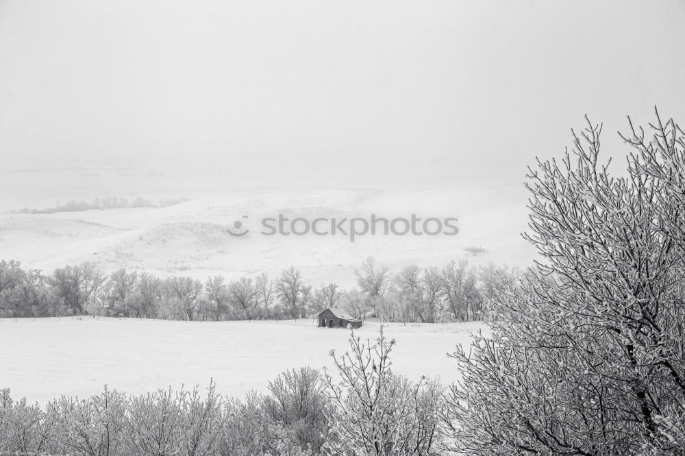 Similar – Foto Bild Last Living Souls