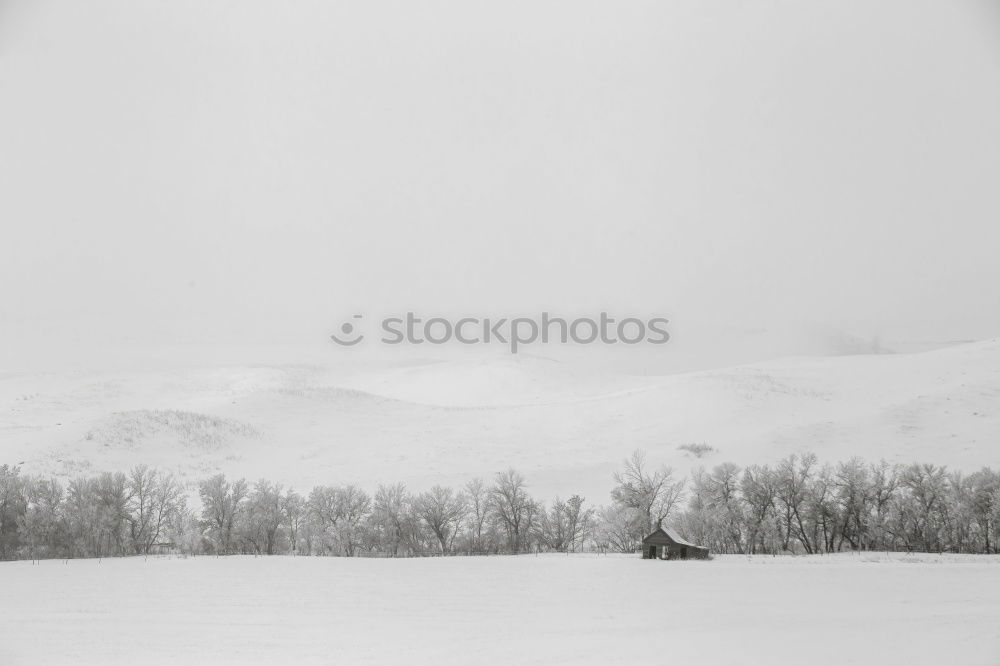 Similar – Image, Stock Photo SNOWMAN Winter Ice Frost