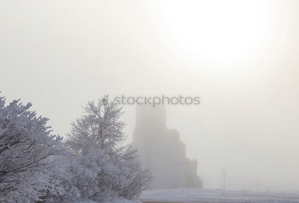 Similar – Foto Bild Eisweinberg Weinberg Ruine