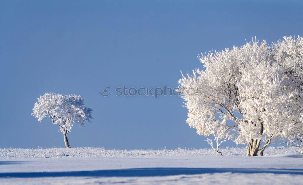 Similar – Image, Stock Photo Snow-covered winter landscape in the Black Forest