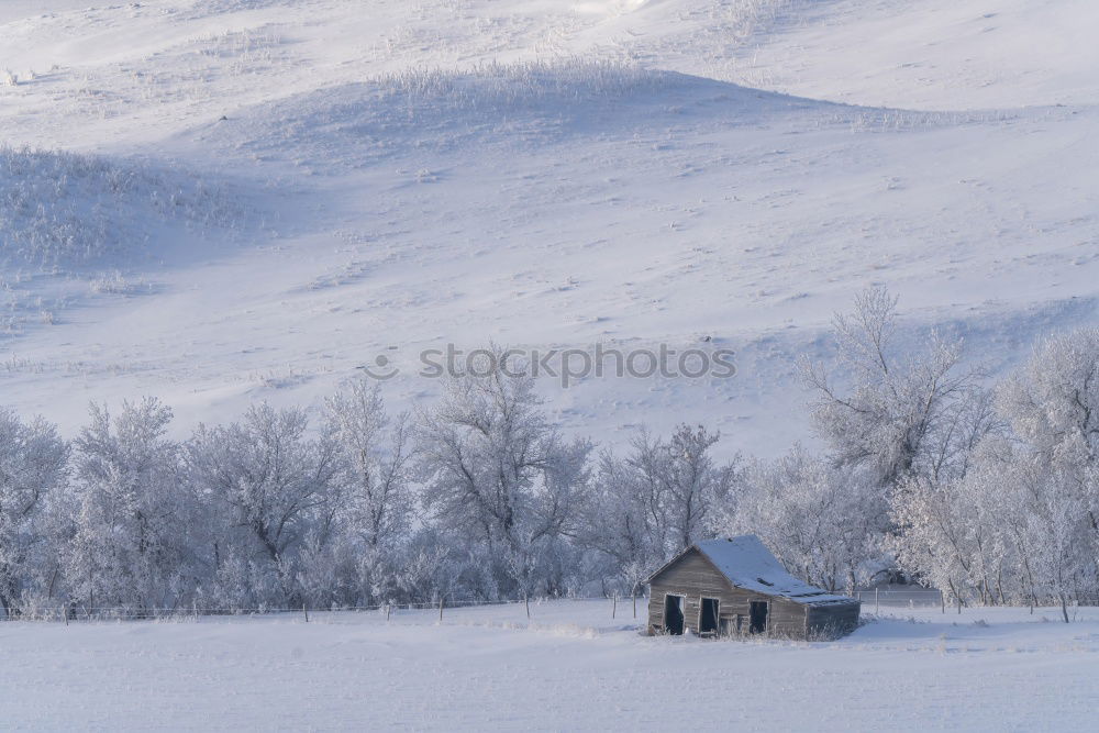 Similar – Image, Stock Photo i still remember Nature