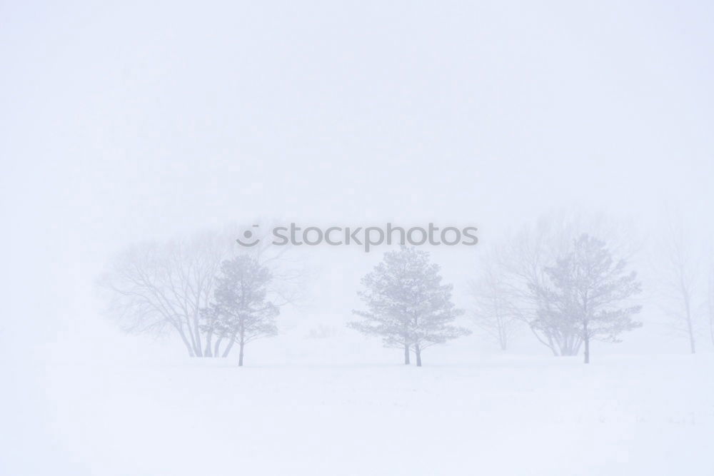 Similar – Winter landscape | gray in gray