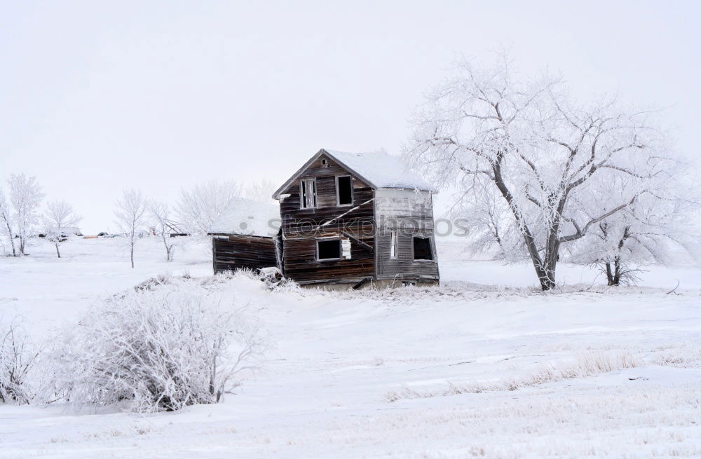 Similar – Snowy road Subdued colour