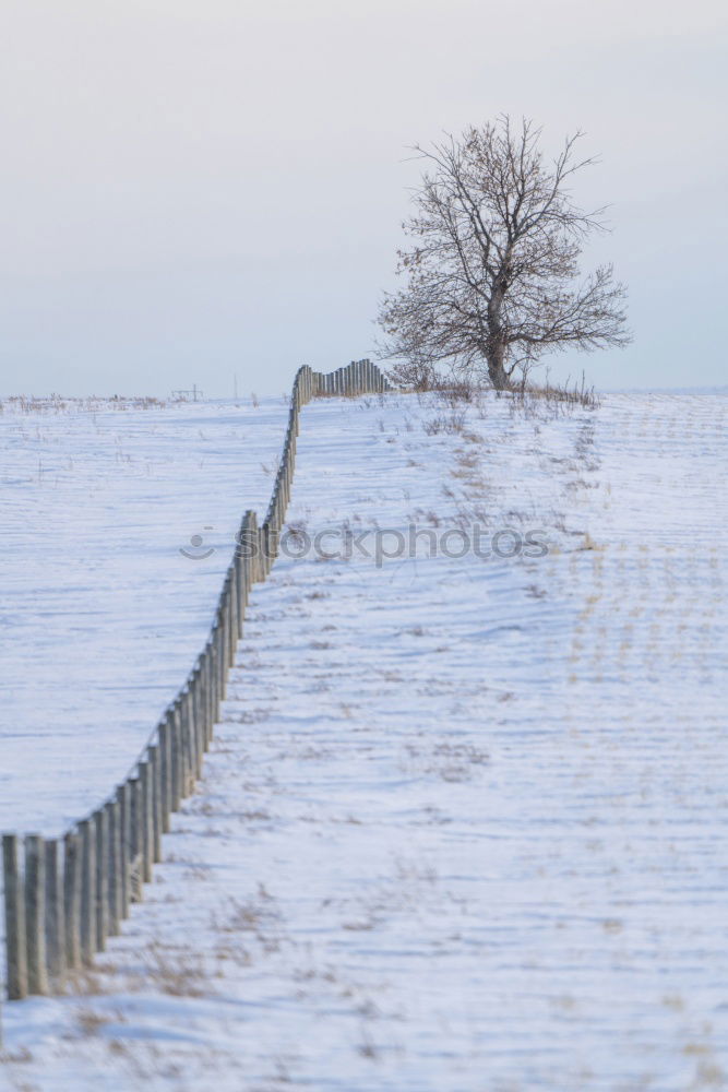 Similar – Foto Bild Eisweinberg Weinberg Ruine