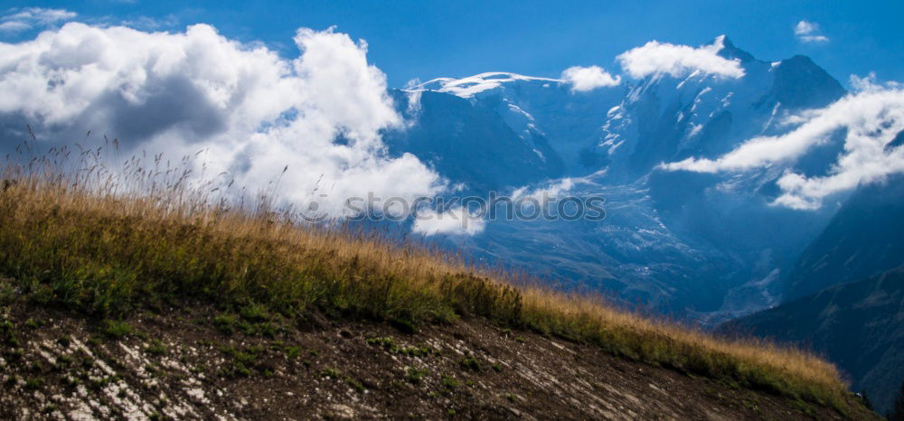 Similar – Seiser Alm harmonisch