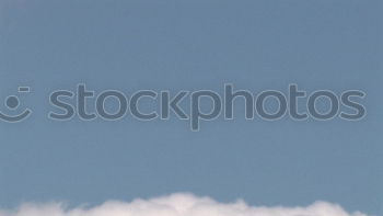 Similar – Foto Bild chucks in freier wildbahn