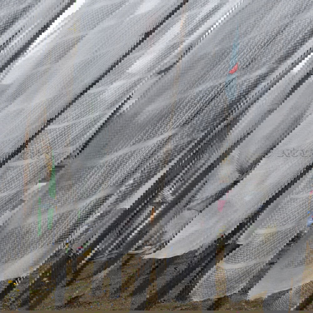 Similar – Image, Stock Photo Storage space for various junk