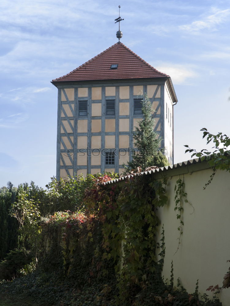 Similar – freestanding Sky Plant