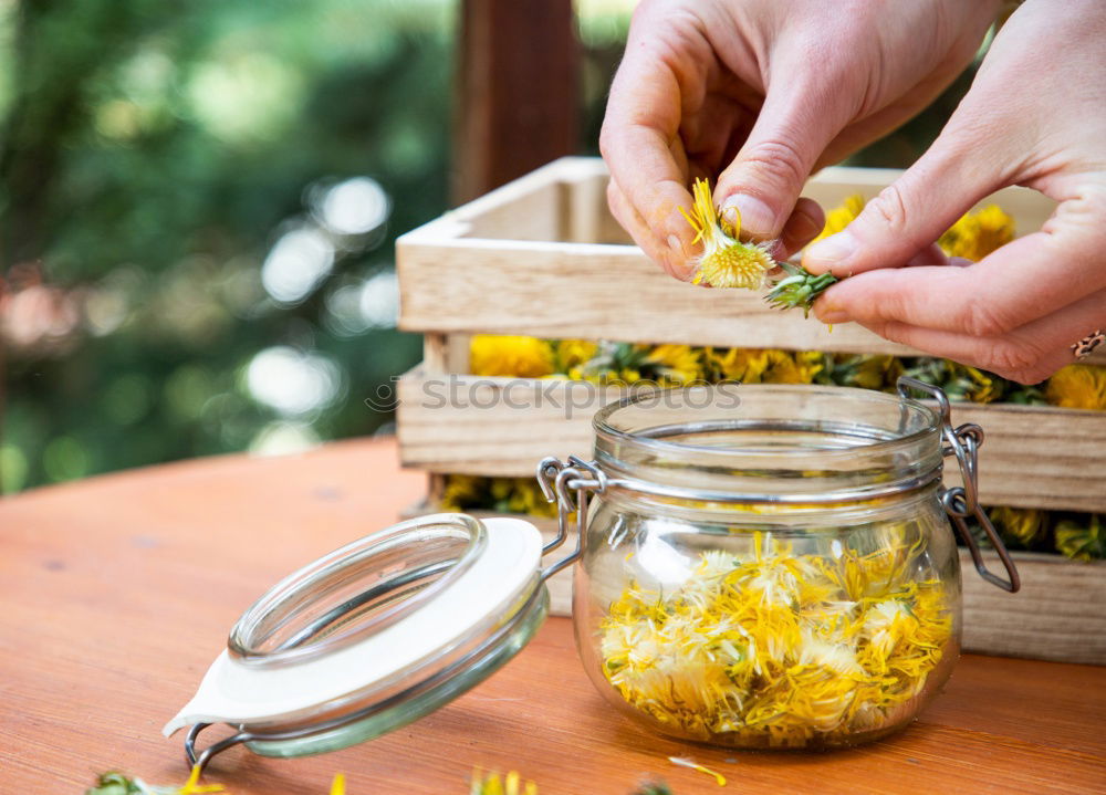 Similar – Image, Stock Photo Jar with Linden blossom on wooden table