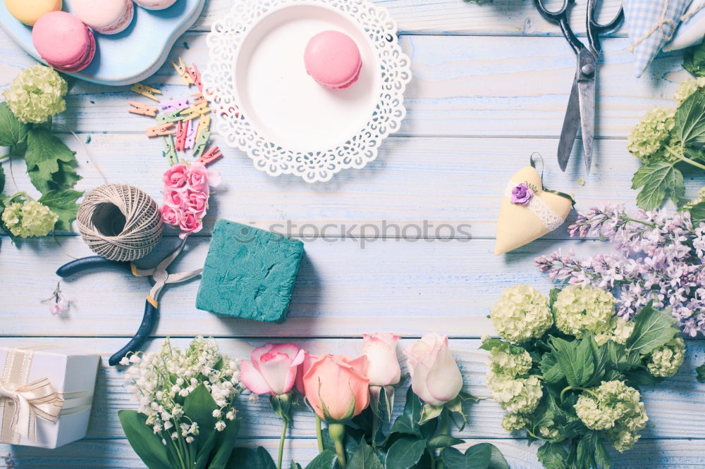 Similar – Summer woman accessories with shells and tropical leaves on pastel color background, top view. Straw hat, sunglasses, sandals and handbag. Holiday vacation. Female fashion outfit