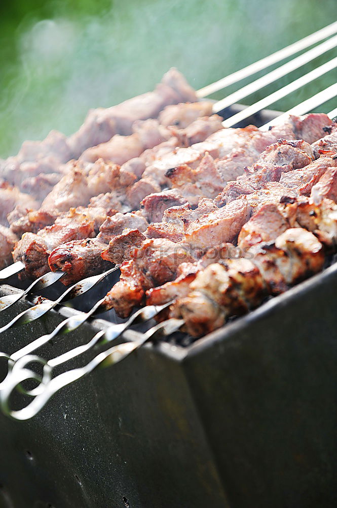 Similar – Image, Stock Photo torches Food Meat