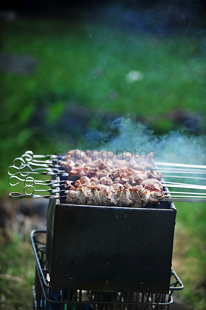 Similar – Image, Stock Photo barbecue Nutrition Dinner