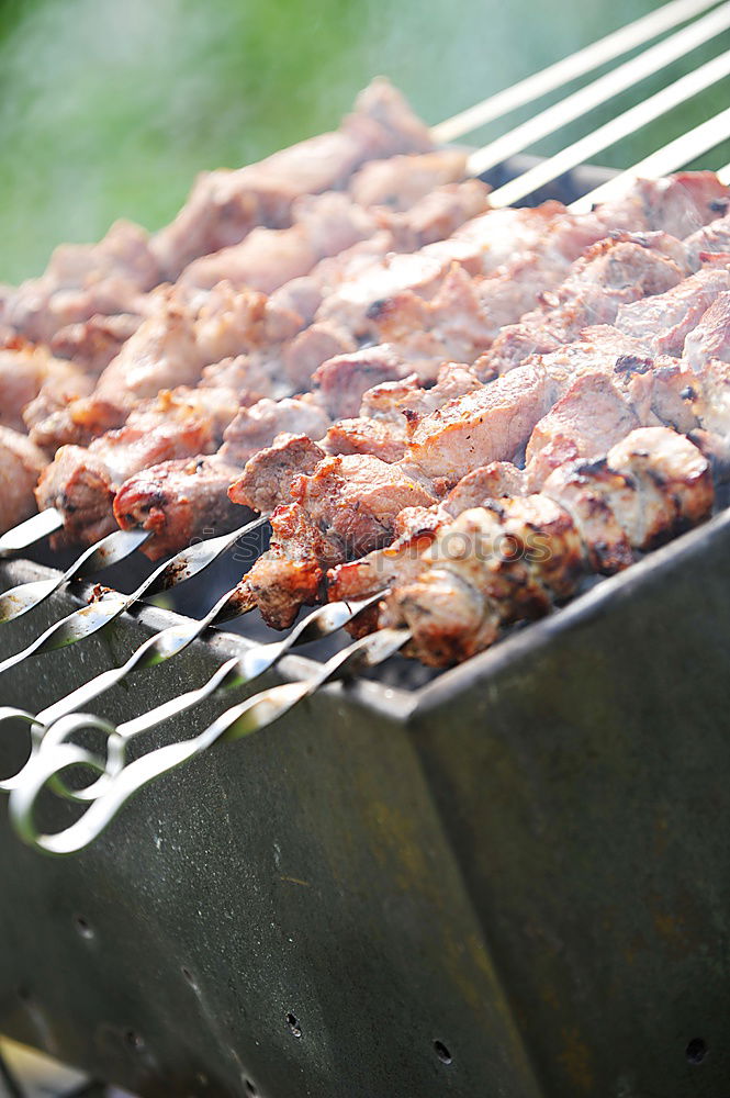 Similar – Image, Stock Photo torches Food Meat