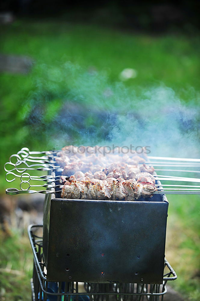 Similar – Image, Stock Photo barbecue Nutrition Dinner