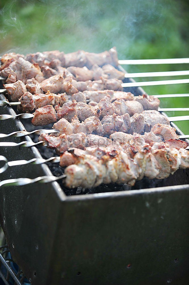 Similar – Image, Stock Photo Bar-B-Q Meat Sausage