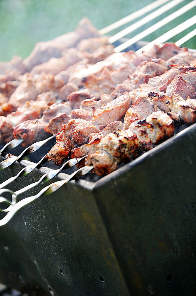 Similar – Image, Stock Photo F(r)isch on the grill Meat