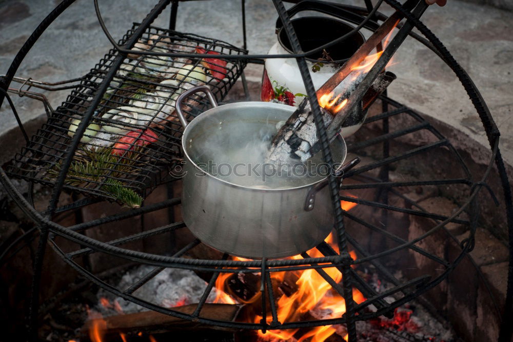 Similar – Image, Stock Photo Grilled fish.