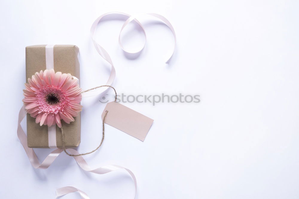 Similar – Composition of pink accessories to female holidays: Mothers day , Womens day, birthday or wedding. Paper shopping bag with flowers,paper, party fan and ribbon on white background, top view