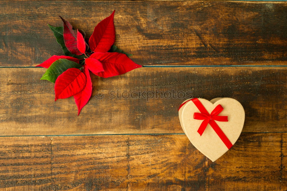 Similar – Image, Stock Photo Present with heart shape and seasonal plant with red leaves