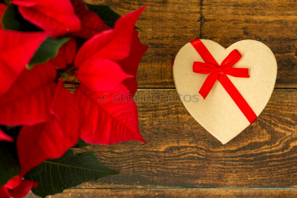 Image, Stock Photo Present with heart shape and seasonal plant with red leaves