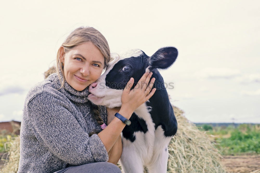 Similar – kid girl feeding calf on cow farm.