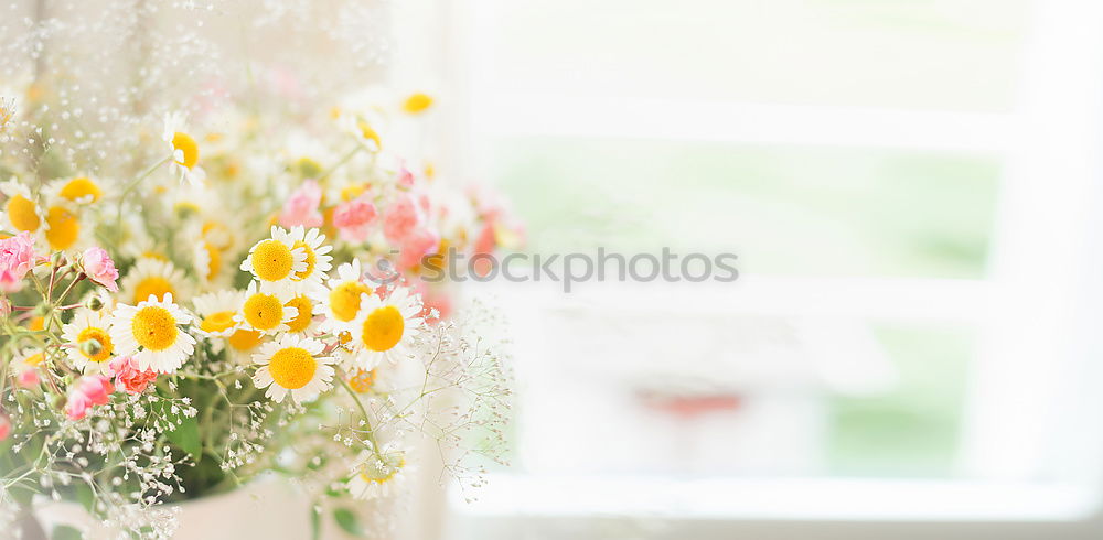 Similar – Image, Stock Photo Bouquet with wildflowers