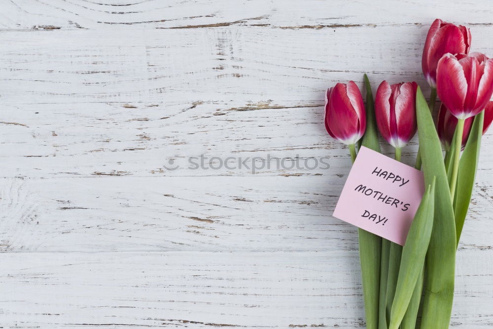 Similar – bouquet of pink roses Food