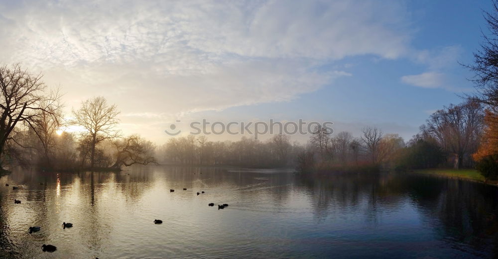 Similar – Blue hour at the lake