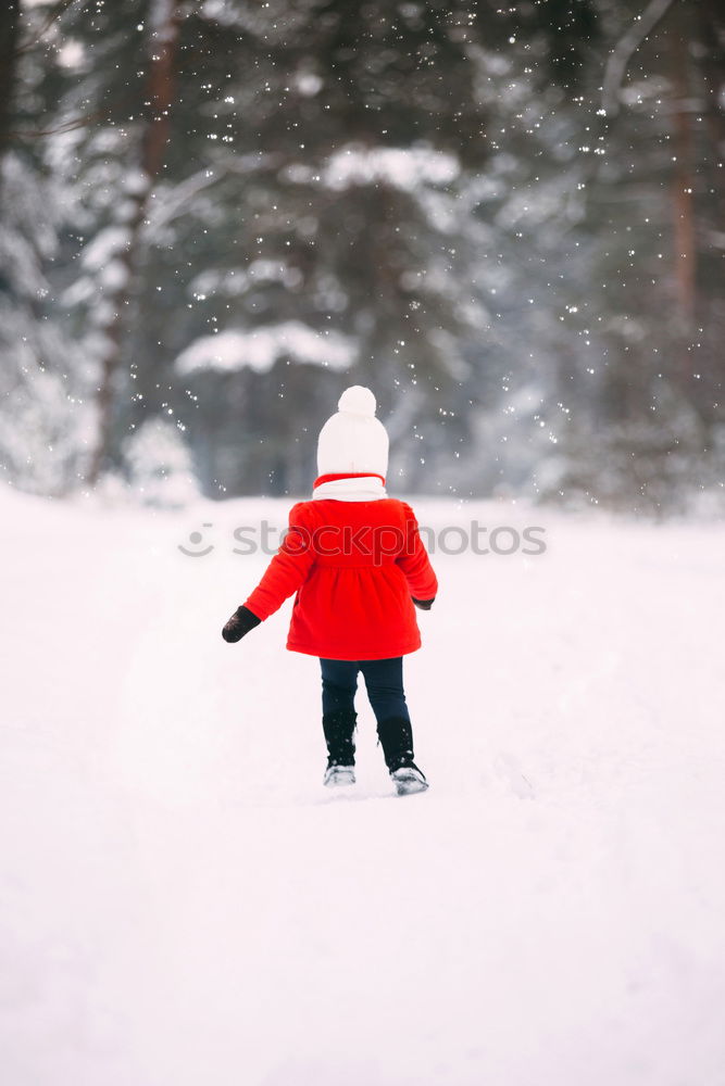 Similar – Image, Stock Photo Little girl enjoying winter walking through deep snow. Toddler is playing outdoors while snow falling. Child is wearing dark blue snowsuit and wool cap