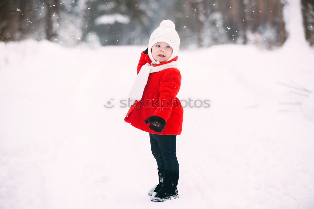 Similar – Image, Stock Photo Winter dreams Lifestyle