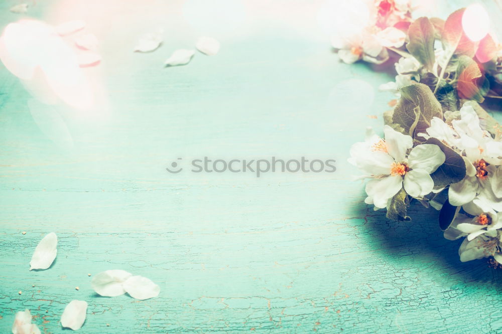 Similar – Image, Stock Photo Easter from the heart Hang