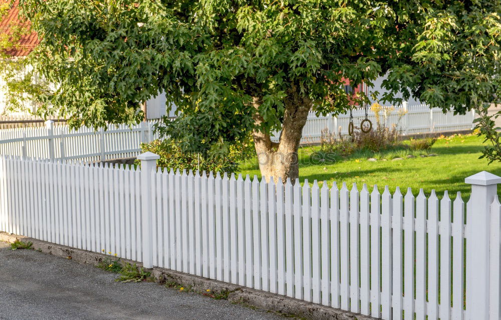 Similar – Image, Stock Photo Backyard with playground equipment