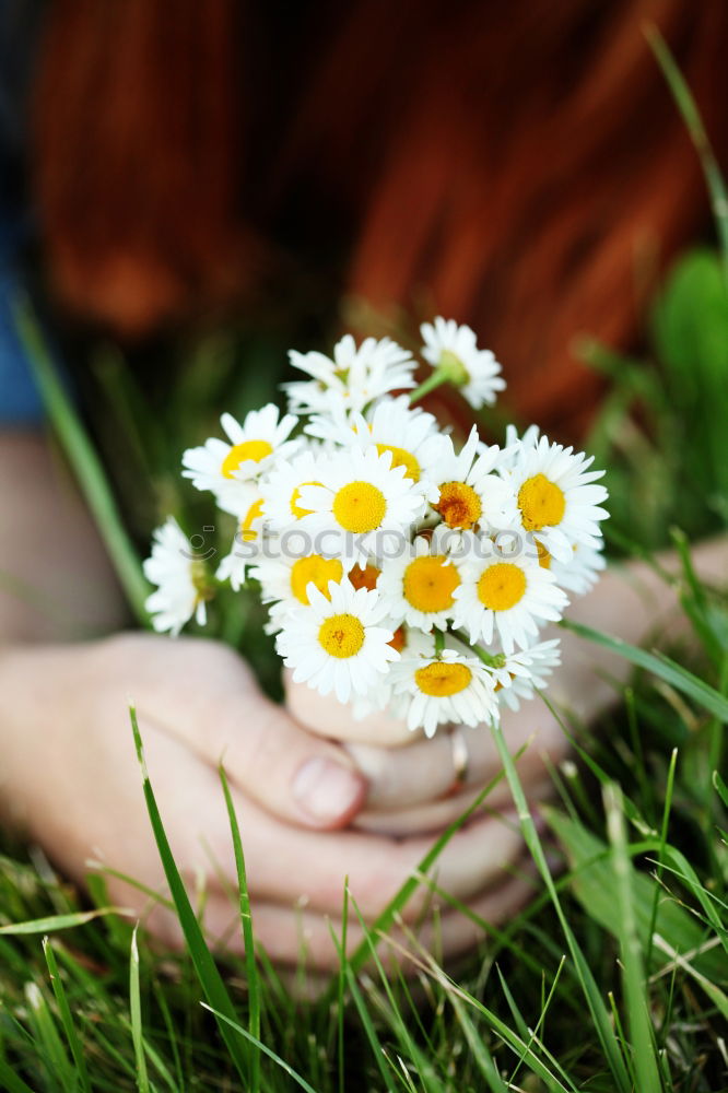 Similar – flower pot Environment