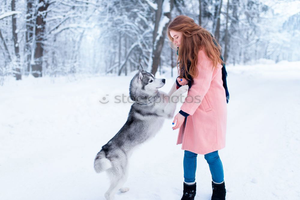 Similar – Image, Stock Photo loving the cat Lifestyle