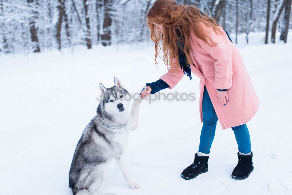 Similar – Image, Stock Photo loving the cat Lifestyle