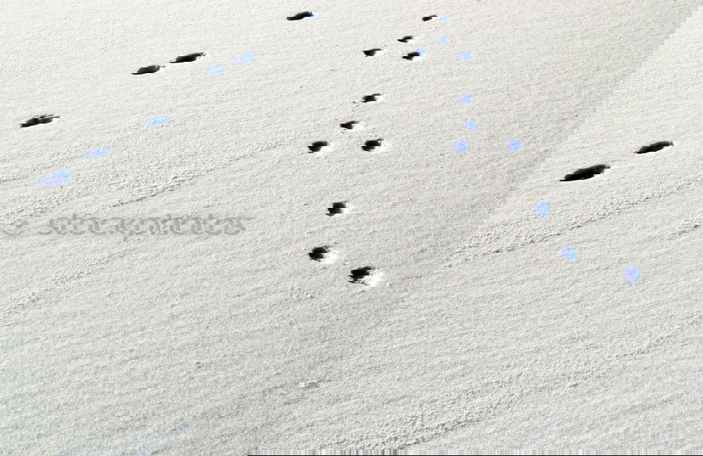 Similar – Foto Bild Schneespuren Winter Spuren