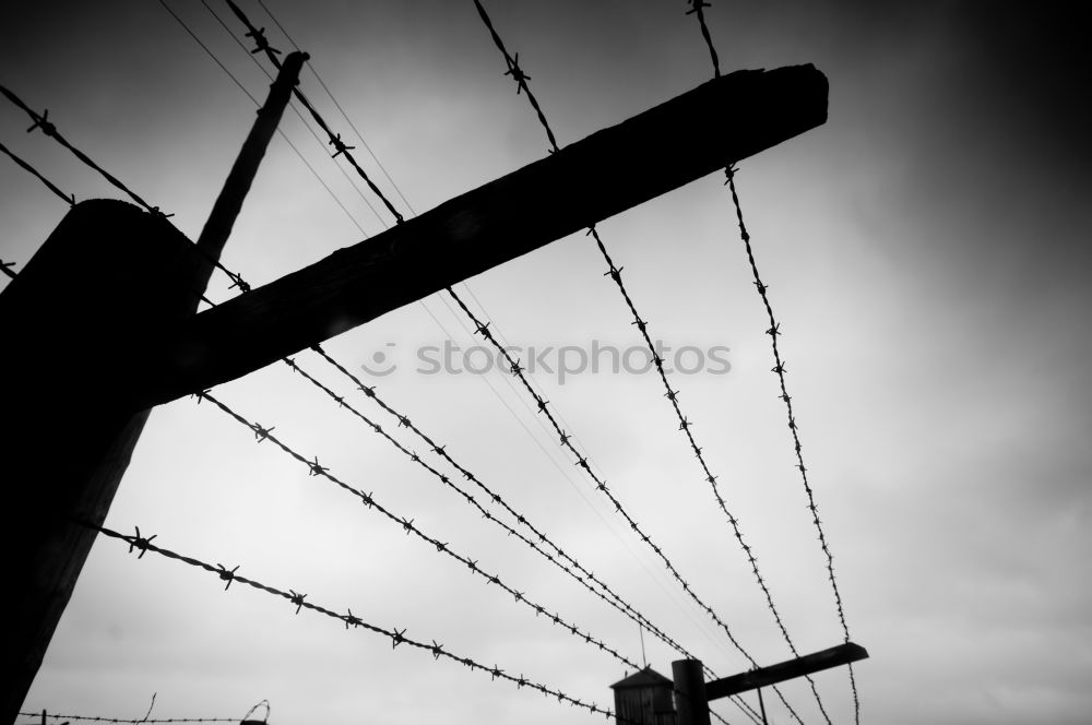 Similar – Image, Stock Photo barbed wire fence