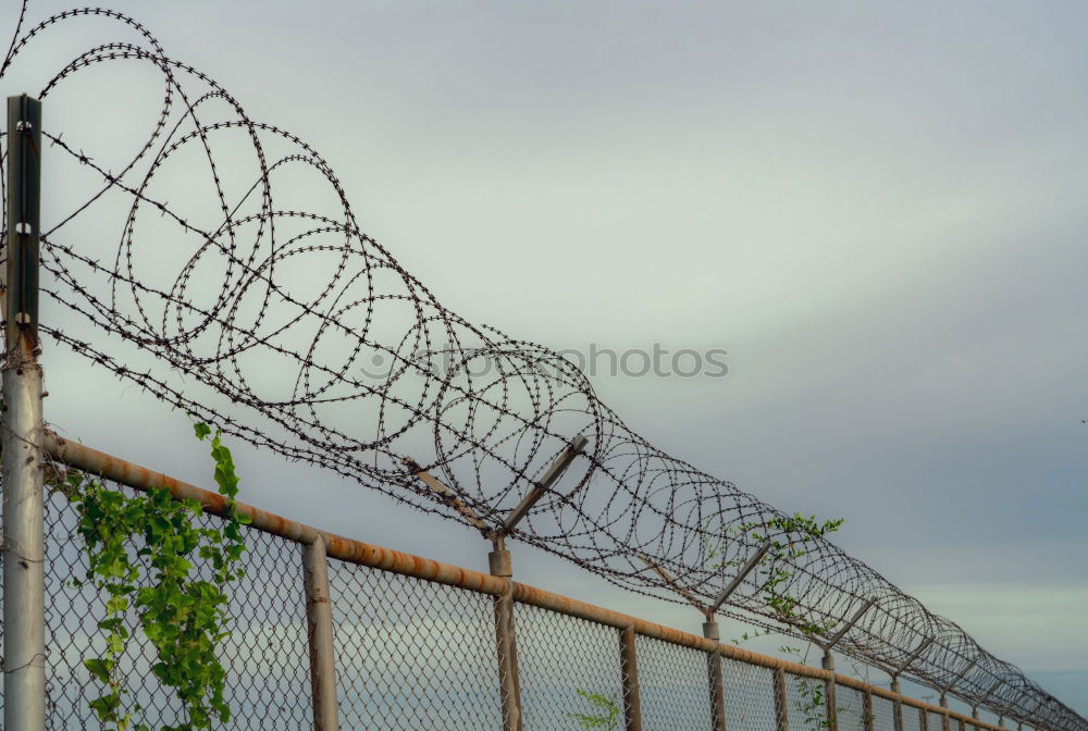 Similar – Prison security fence. Barbed wire security fence. Razor wire jail fence. Barrier border. Boundary security wall. Prison for arrest criminals or terrorists. Private area. Military zone concept.