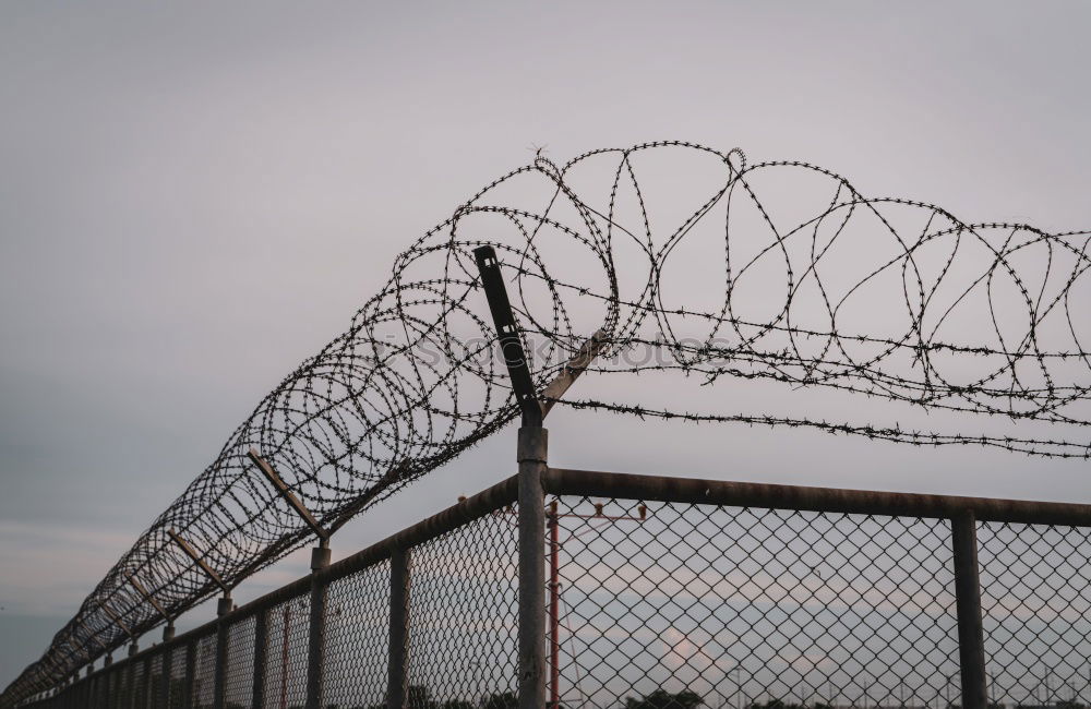 Similar – Prison security fence. Barbed wire security fence. Razor wire jail fence. Barrier border. Boundary security wall. Prison for arrest criminals or terrorists. Private area. Military zone concept.