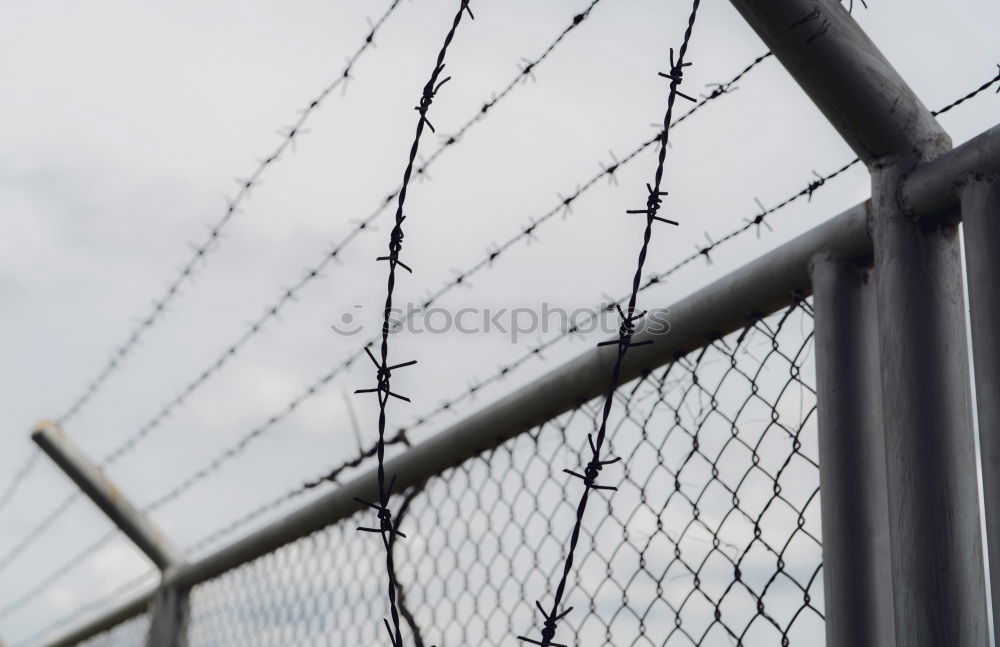 Prison security fence. Border fence. Barbed wire security fence. Razor wire jail fence. Boundary security wall. Prison for arrest of criminals or terrorists. Private area. Military zone concept.